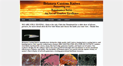 Desktop Screenshot of brianata.com
